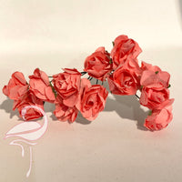 Paper Roses - Coral 20mm x 12 pcs