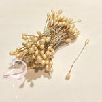 Stamens Pearl Champagne 5mm - Pack of 100