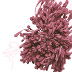 Stamens Matt Heart 3mm Burgundy - Pack of 100