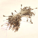 Stamens Matt Heart 3mm Light Coffee - Pack of 100