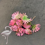 Plastic stamens pink - 30mm x 10 pieces