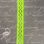 Ribbon - Cut-out floral pattern Green - 25mm x 1 yard