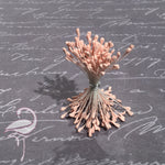 Stamens Matt Heart 3mm Pale Coral- Pack of 100
