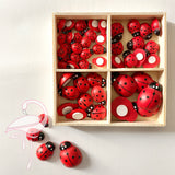 Box of Wooden Self-Adhesive Ladybirds