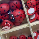 Box of Wooden Self-Adhesive Ladybirds