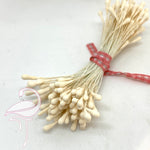 Stamens Matt 2.5mm Champagne x 100 pieces