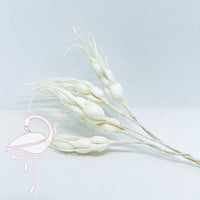 Wheat Spike White - 10cm x 5 pieces