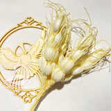 Wheat Spike Ivory - 10cm x 5 pieces