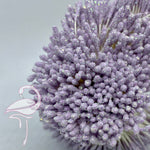 Stamens Glitter Pale Lavender 3mm - Pack of 100 pieces