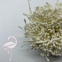 Stamens Glitter Ivory 3mm - Pack of 100 pieces