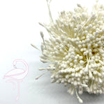 Stamens Glitter White 3mm - Pack of 100 pieces