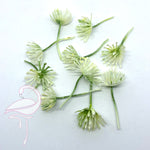 Plastic stamens white - 30mm x 10 pieces