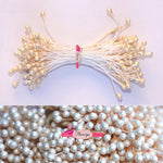 Stamens Pearl Pale Peach 3mm Code 003 - Pack of 100 - Flamingo Craft